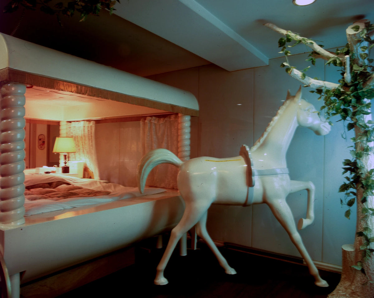 Baron Books Love Hotels by Kyoichi Tsuzuki | distal phalanx