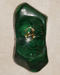 Alan Earrings / Gold