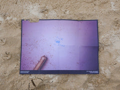 'Abalone Shell' Poster Pack