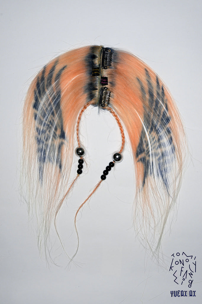 Fancy Orange Wing [Tomihiro Kono x Yueqi Qi]