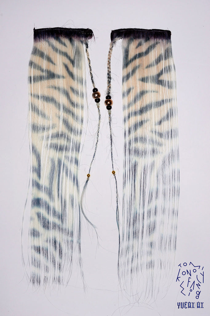 Fancy Extension: Zebra [Tomihiro Kono x Yueqi Qi] / Single