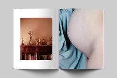 Baron Books Baron Issue 5 Function by Harley Weir - distal phalanx