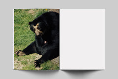 Baron Books Baron Issue 5 Function by Harley Weir - distal phalanx